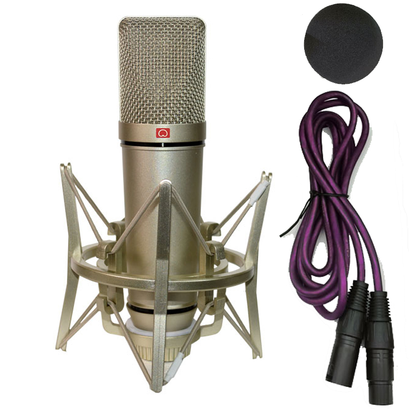Professional Condenser Microph - Shure Mic Sm58 review and price
